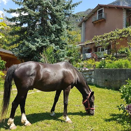 A La Belle Epoque Bed and Breakfast Valdeblore Εξωτερικό φωτογραφία