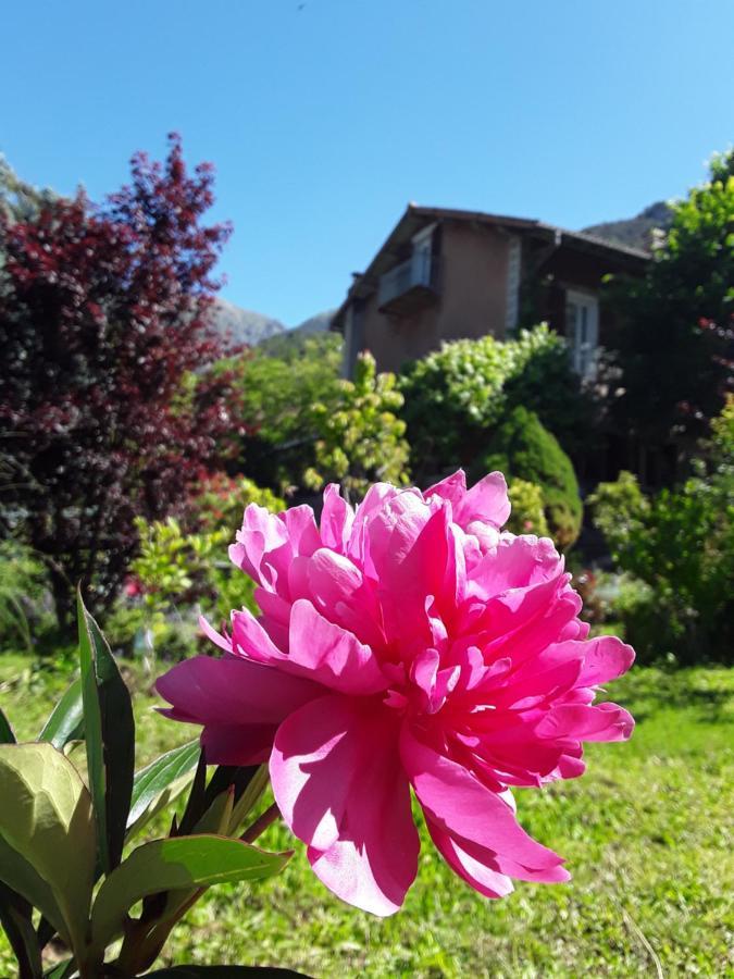 A La Belle Epoque Bed and Breakfast Valdeblore Εξωτερικό φωτογραφία