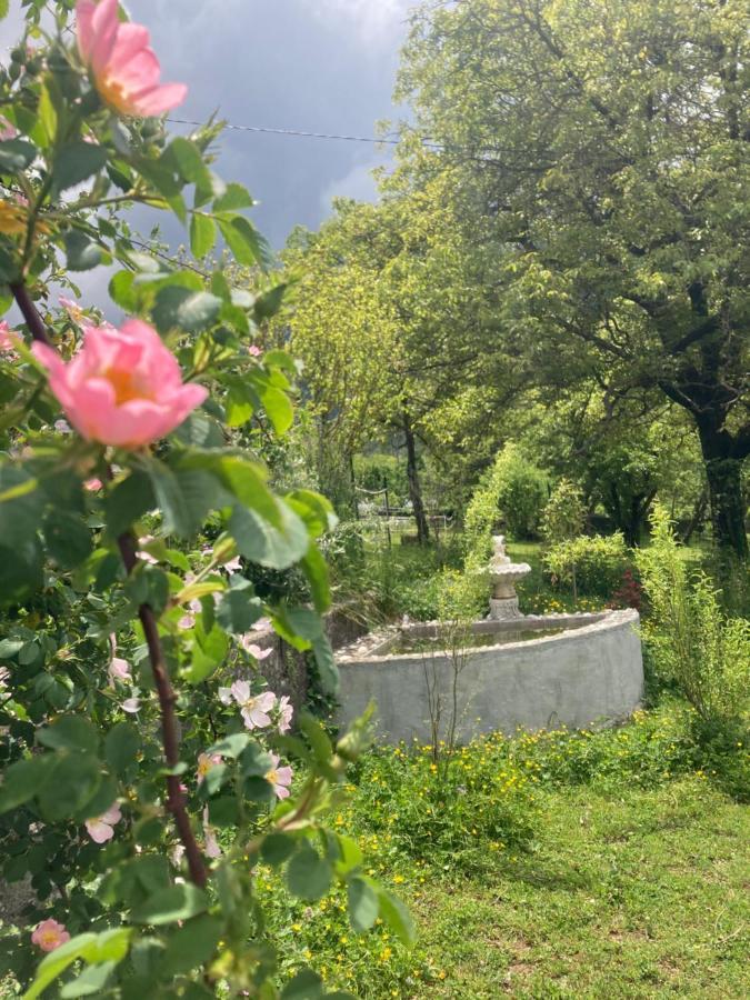 A La Belle Epoque Bed and Breakfast Valdeblore Εξωτερικό φωτογραφία