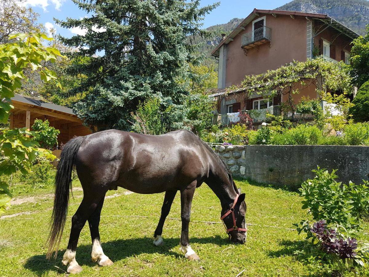 A La Belle Epoque Bed and Breakfast Valdeblore Εξωτερικό φωτογραφία