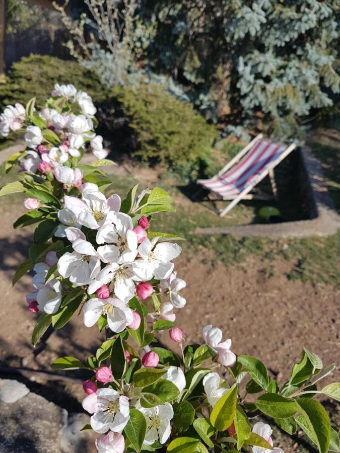 A La Belle Epoque Bed and Breakfast Valdeblore Εξωτερικό φωτογραφία