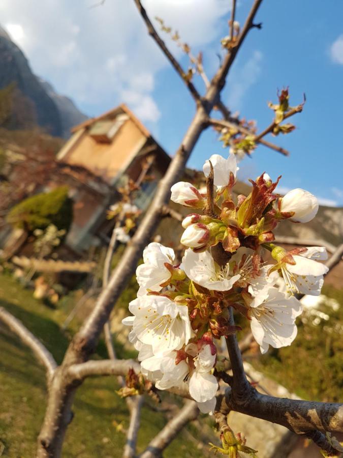 A La Belle Epoque Bed and Breakfast Valdeblore Εξωτερικό φωτογραφία