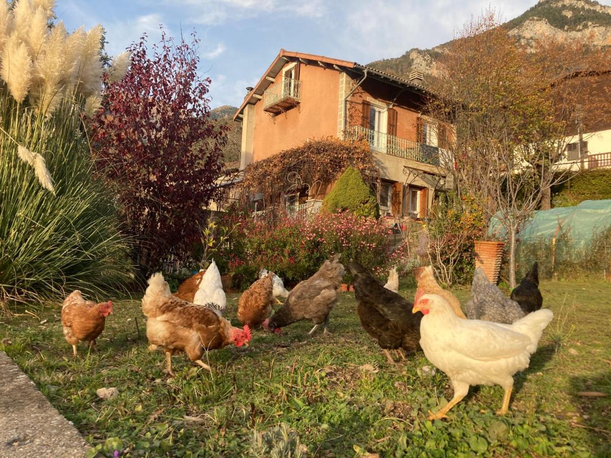 A La Belle Epoque Bed and Breakfast Valdeblore Εξωτερικό φωτογραφία