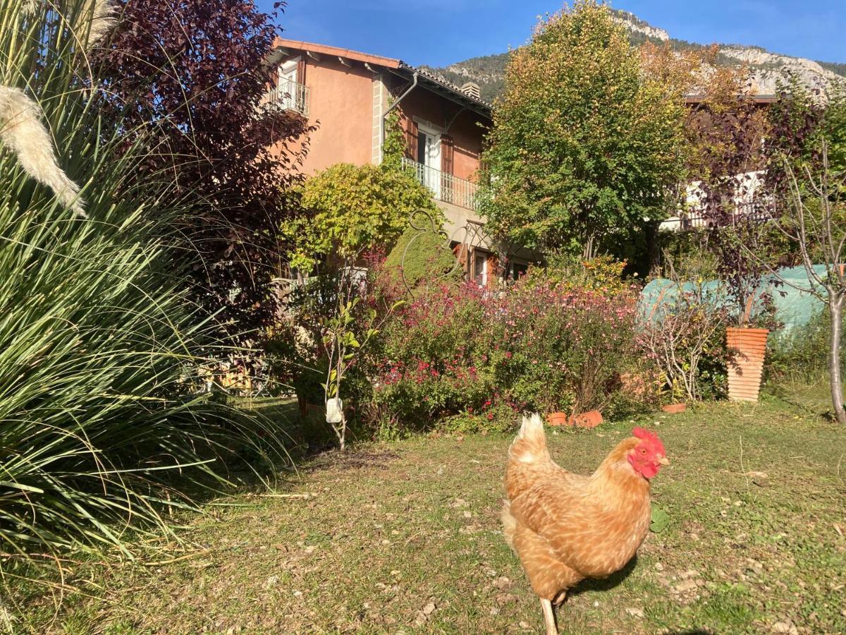 A La Belle Epoque Bed and Breakfast Valdeblore Εξωτερικό φωτογραφία