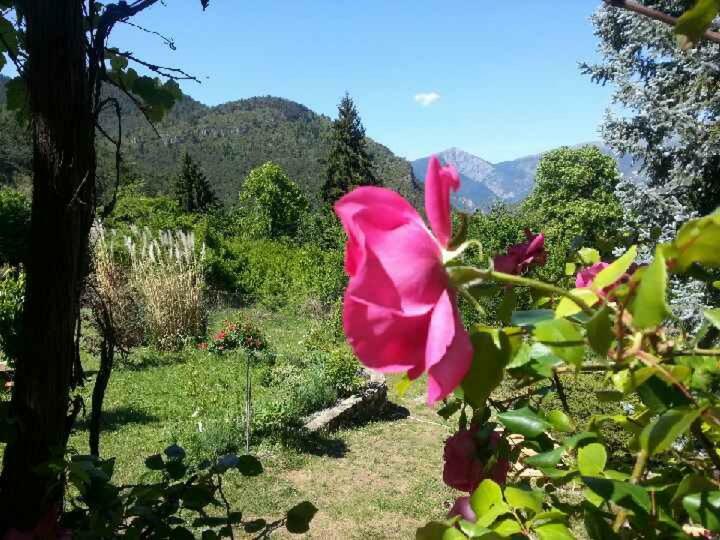 A La Belle Epoque Bed and Breakfast Valdeblore Εξωτερικό φωτογραφία