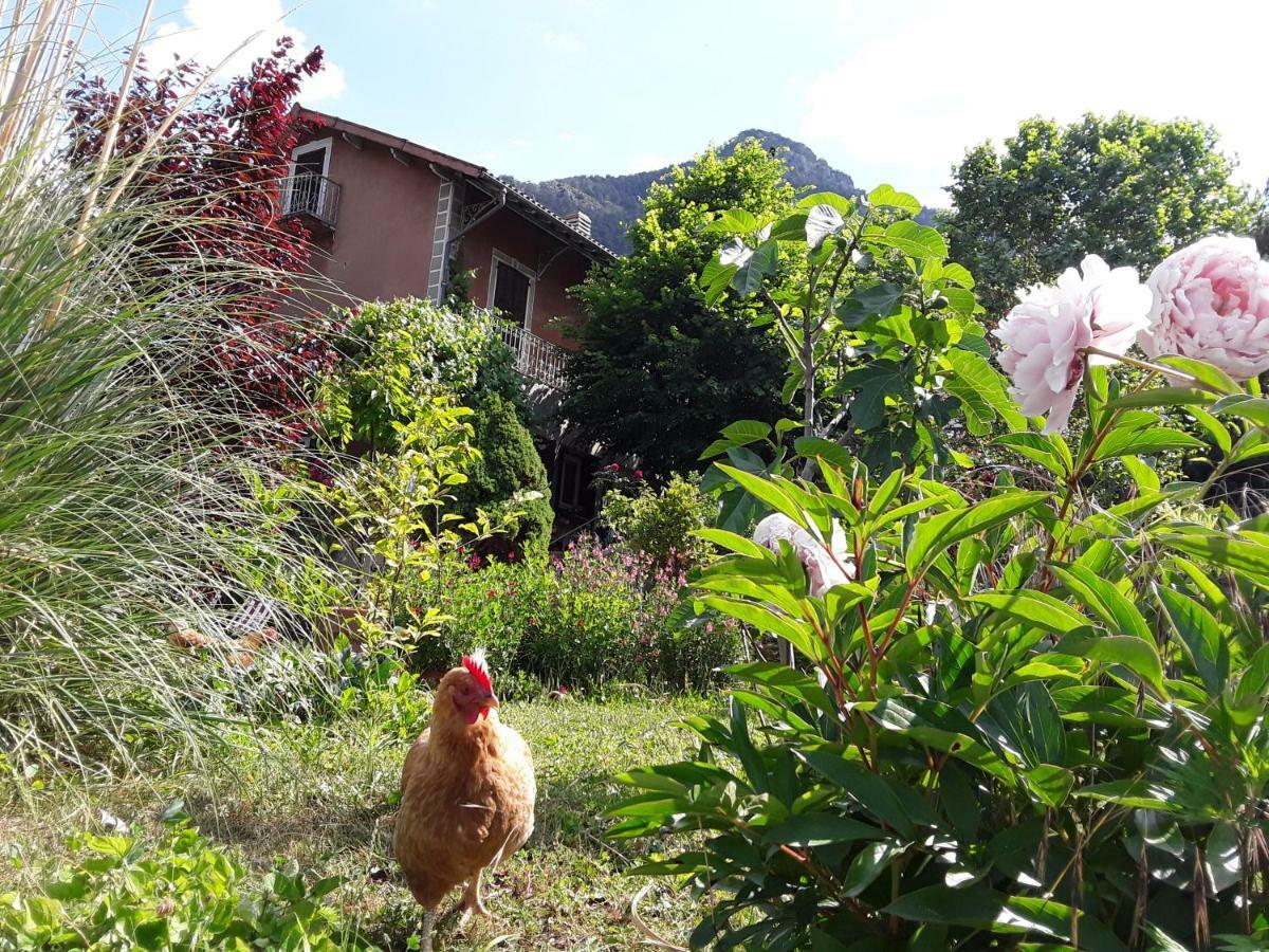 A La Belle Epoque Bed and Breakfast Valdeblore Εξωτερικό φωτογραφία